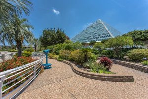 Moody Gardens pyramids in Galveston, tx